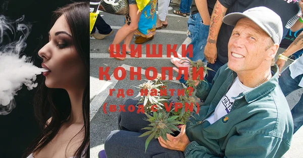 стаф Арсеньев