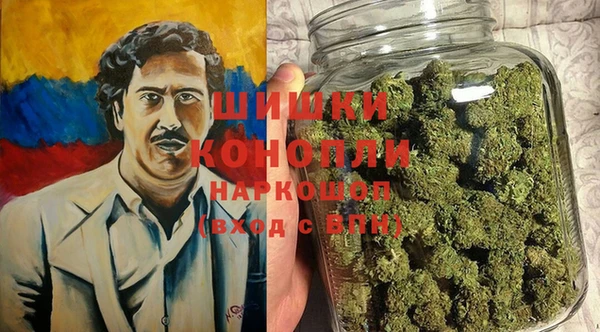 стаф Арсеньев