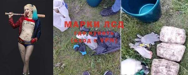 стаф Арсеньев