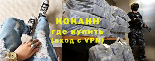 стаф Арсеньев