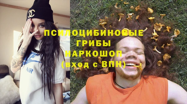 стаф Арсеньев