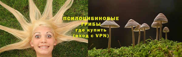 стаф Арсеньев